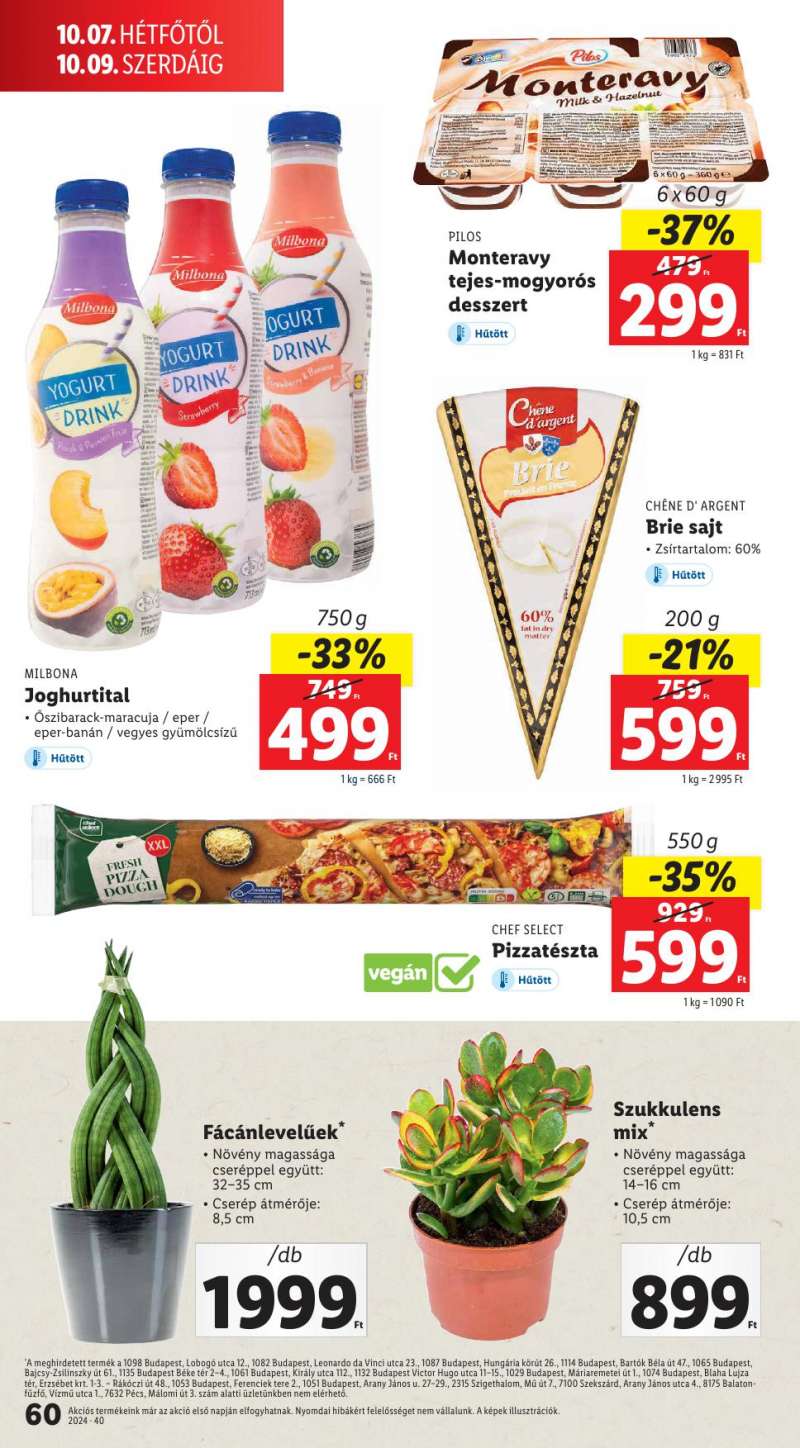 Lidl Akciós Újság 60 oldal