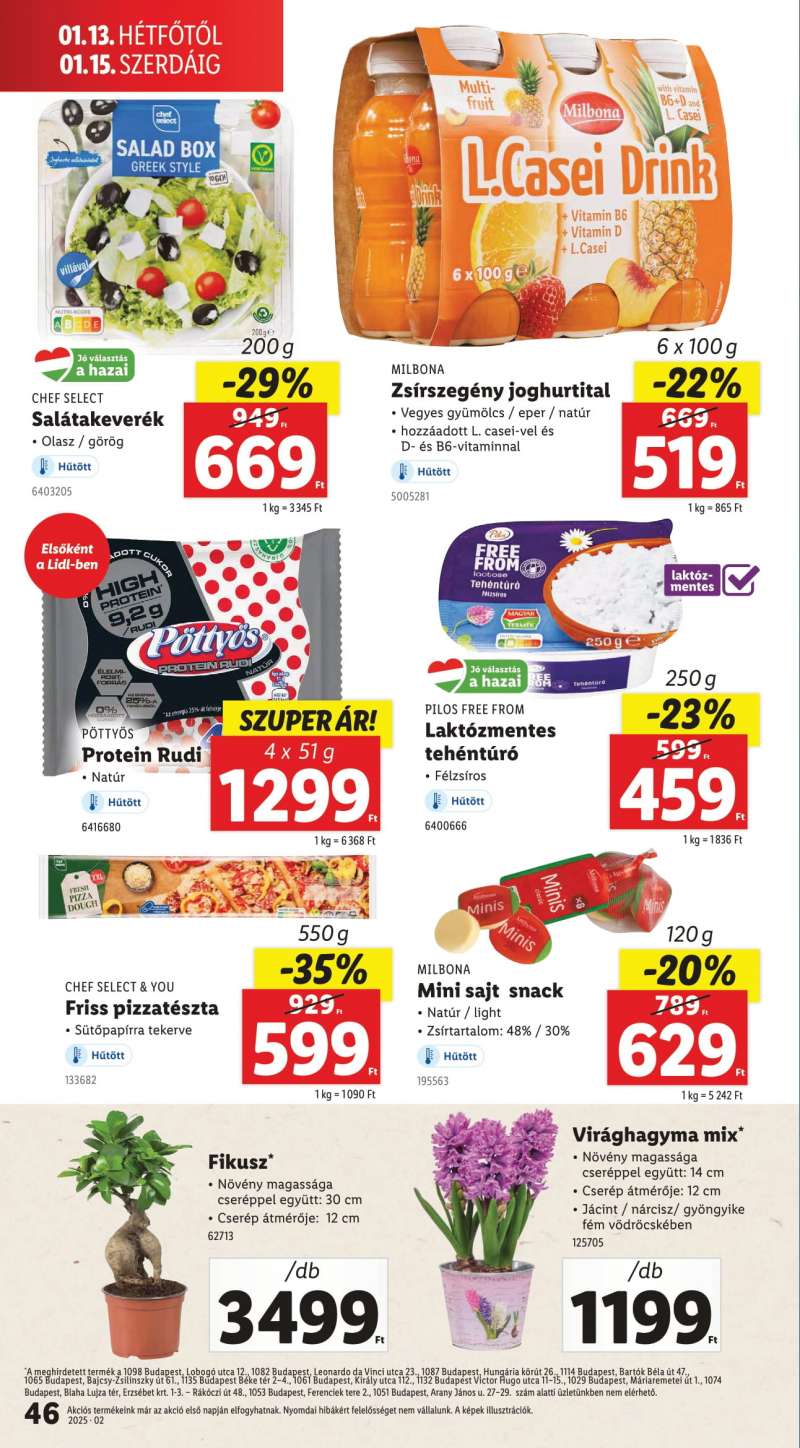 Lidl Akciós Újság 46 oldal