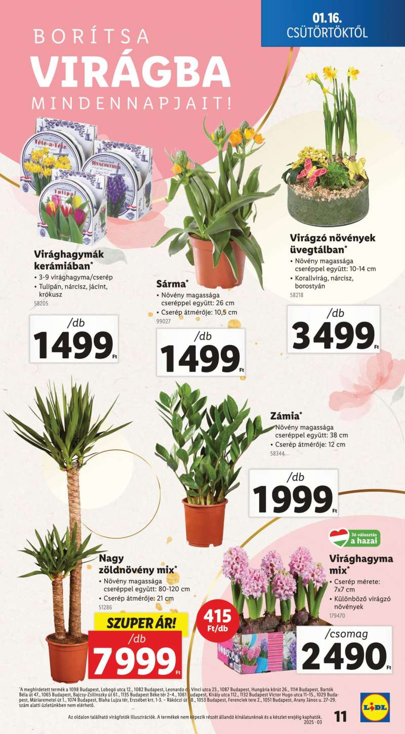 Lidl Akciós Újság 11 oldal