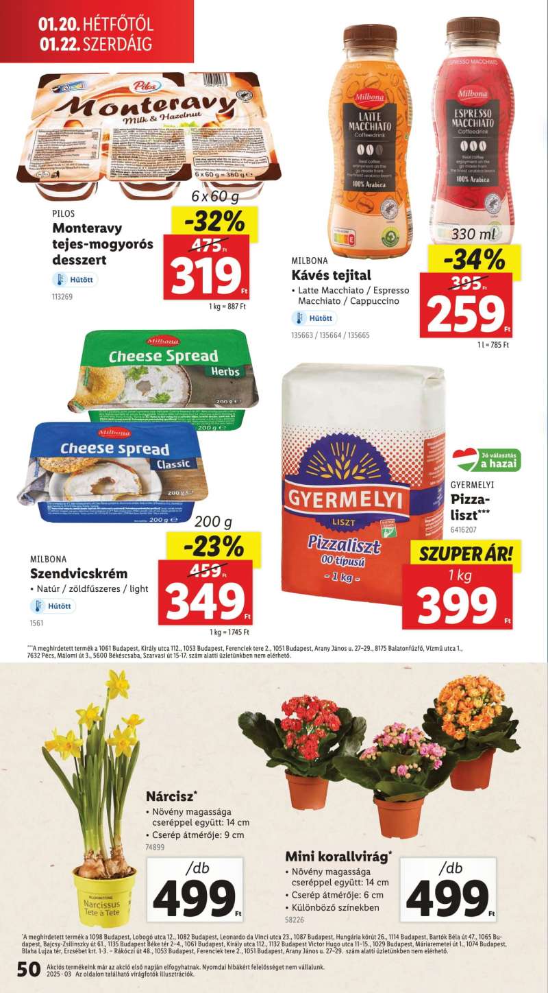 Lidl Akciós Újság 50 oldal