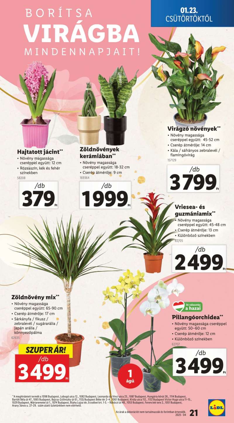 Lidl Akciós Újság 21 oldal