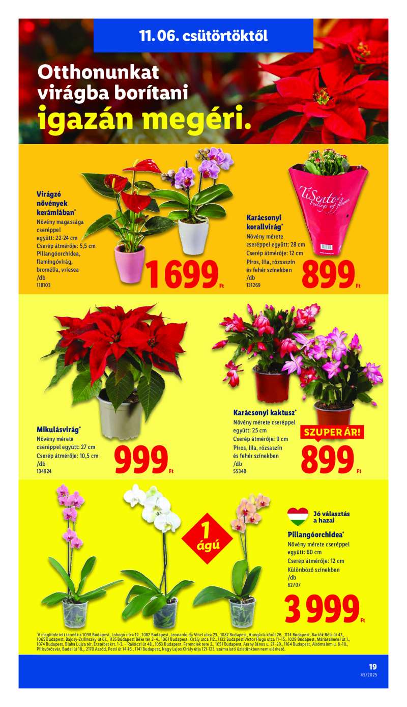 Lidl Érvényes 11.06-tól 19 oldal