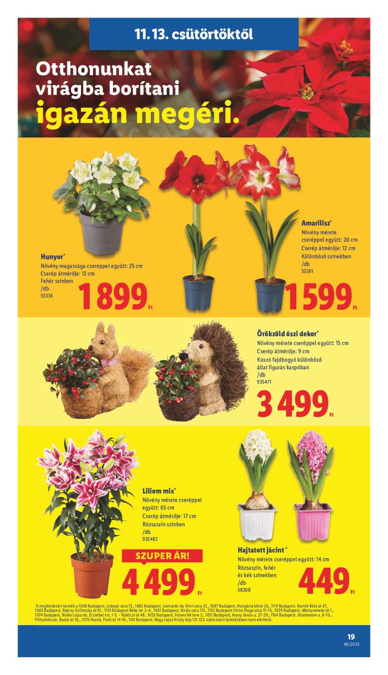 Lidl Érvényes 11.13-től 19 oldal