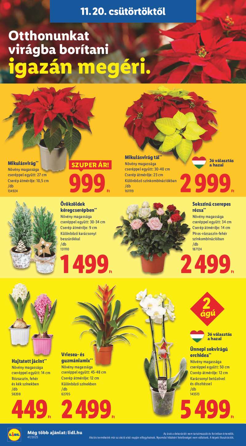 Lidl Érvényes 11.20-tól 6 oldal