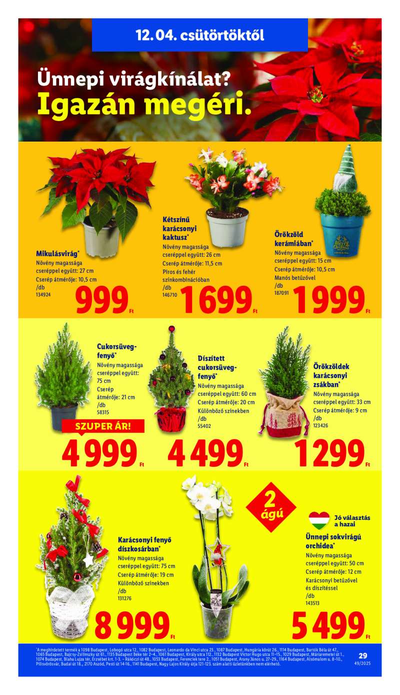 Lidl Érvényes 12.04-től 29 oldal