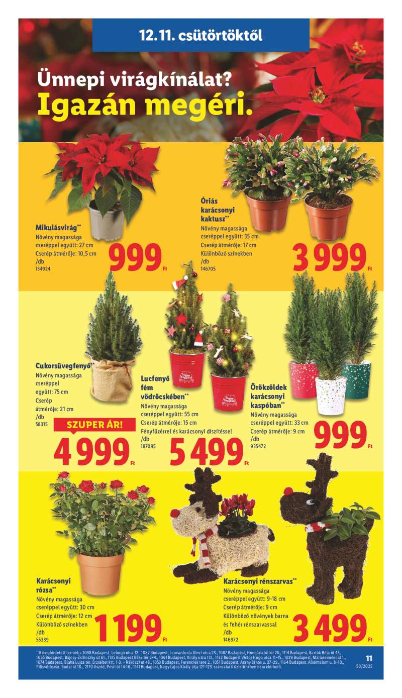 Lidl Érvényes 12.11-től 11 oldal