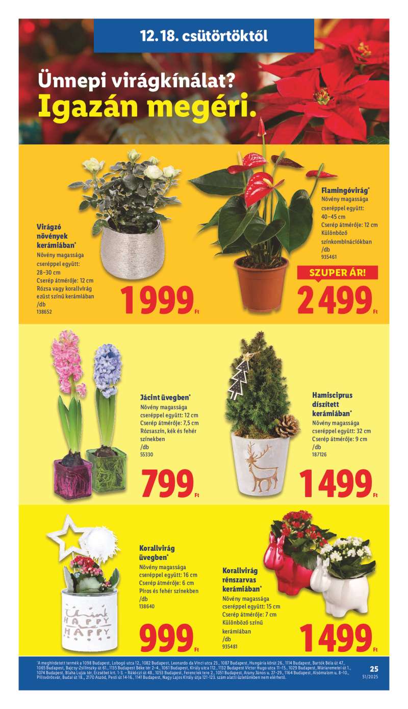 Lidl Érvényes 12.18-tól 25 oldal