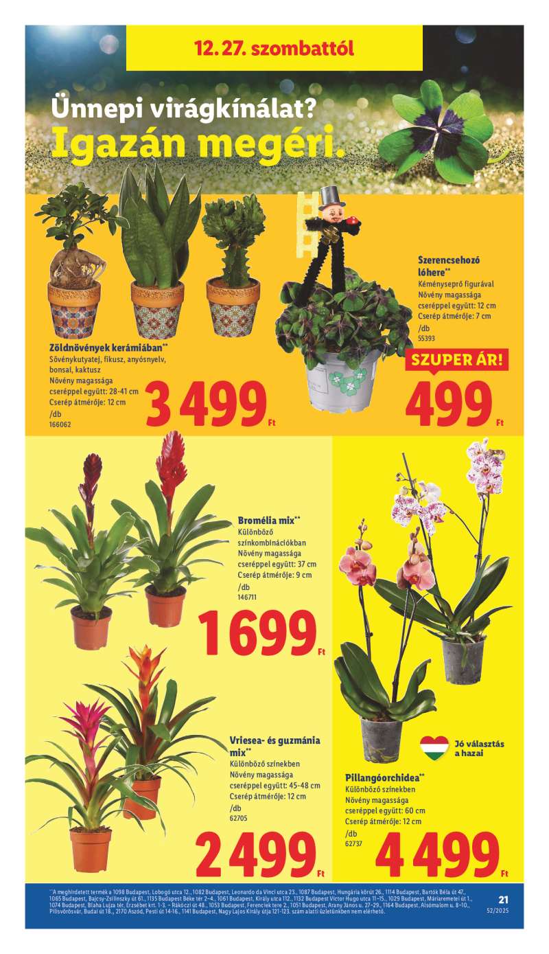 Lidl Érvényes 12.27-től 21 oldal
