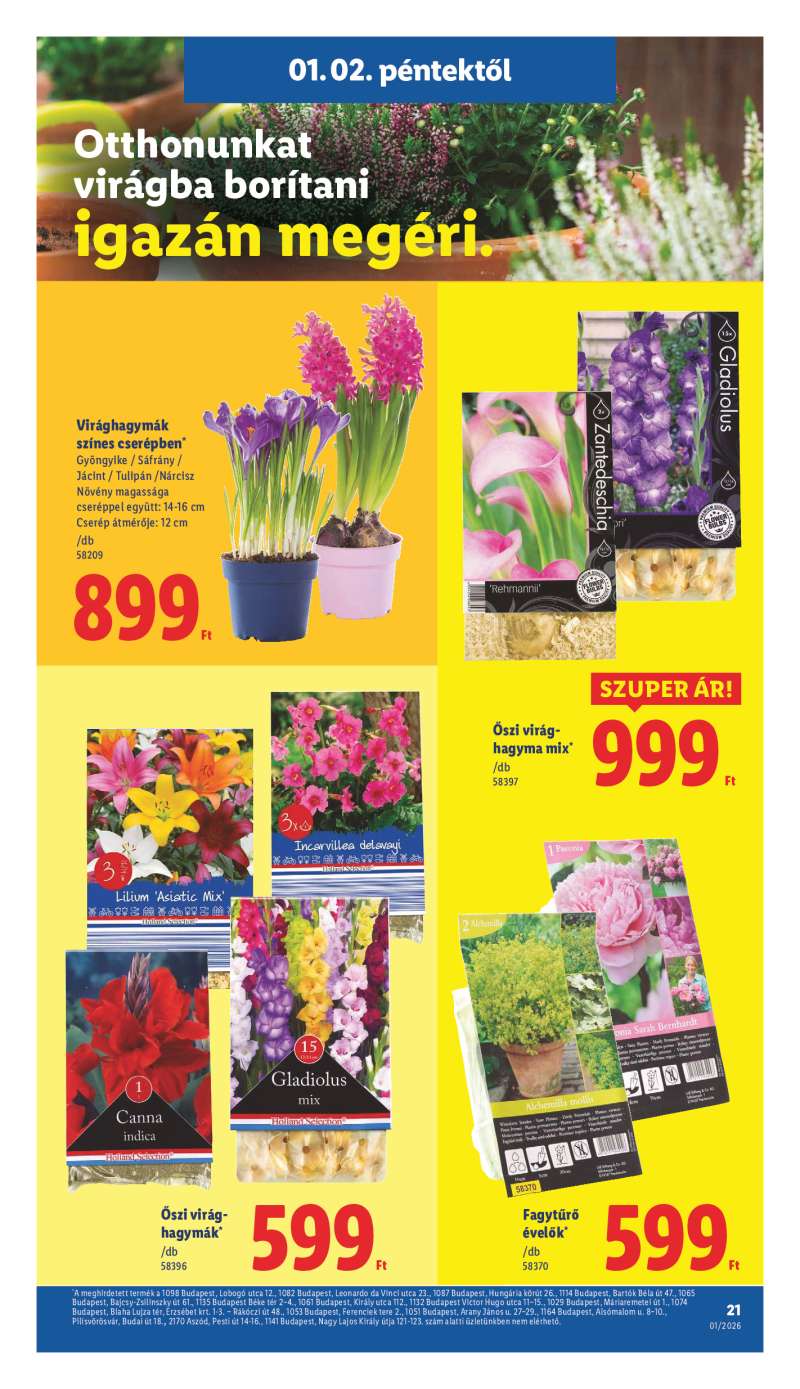 Lidl Érvényes 01.02-től 21 oldal