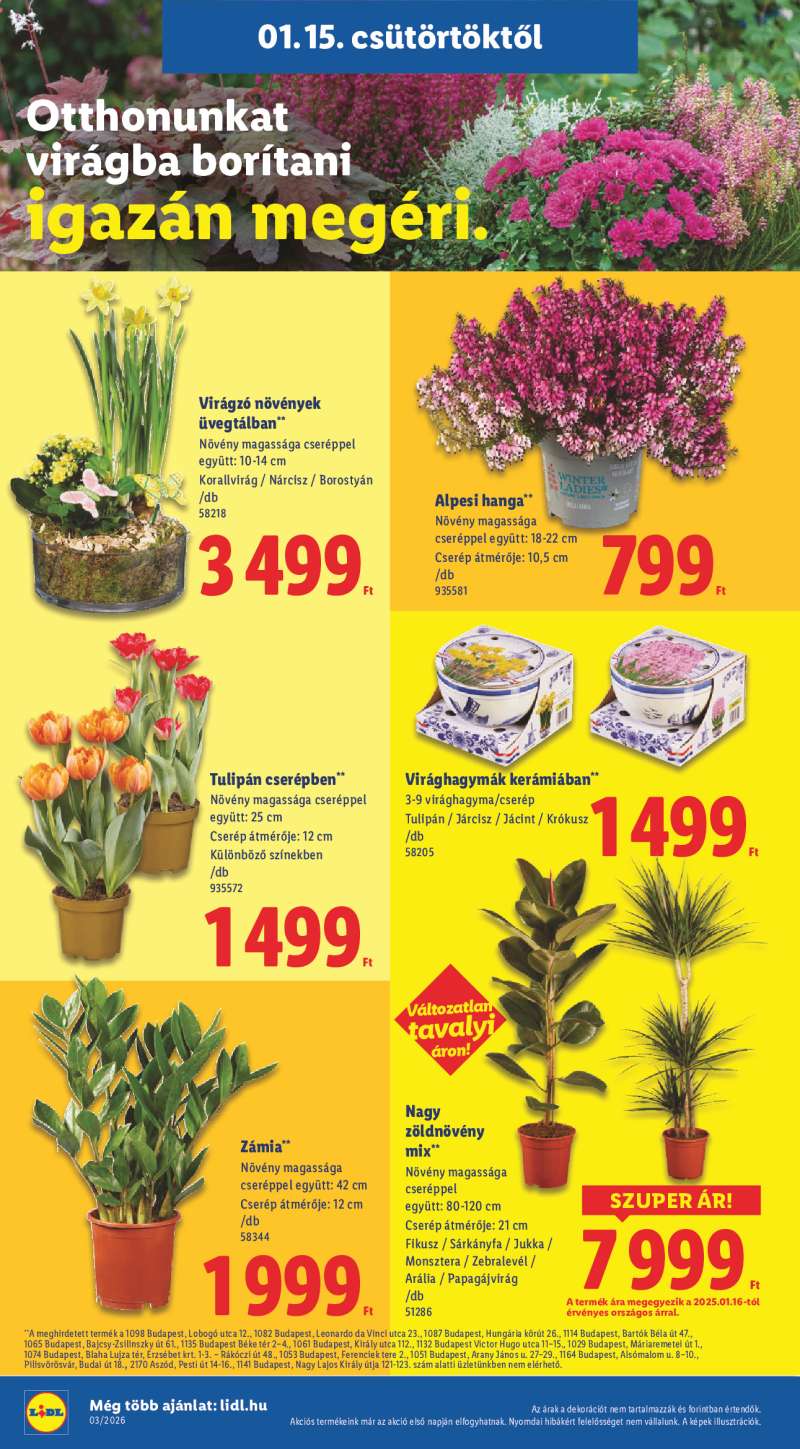 Lidl Érvényes 01.15-től 16 oldal