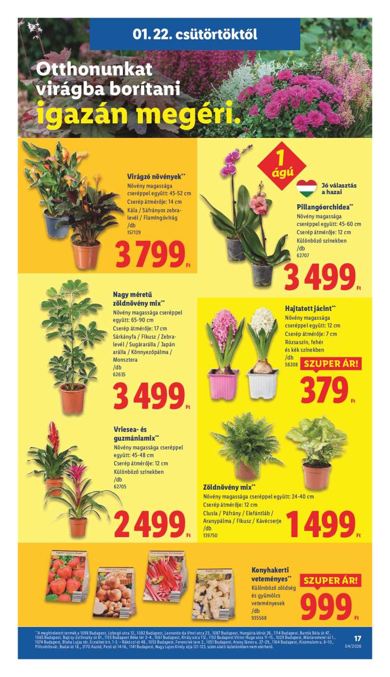 Lidl Érvényes 01.22-től 17 oldal