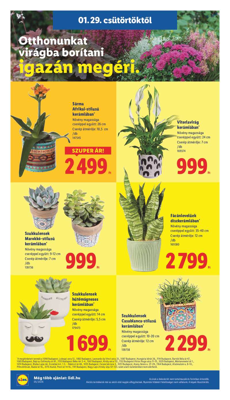 Lidl Érvényes 01.29-től 20 oldal