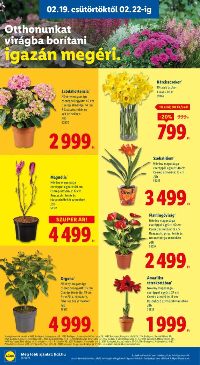 Lidl Akciós Újság 18 oldal