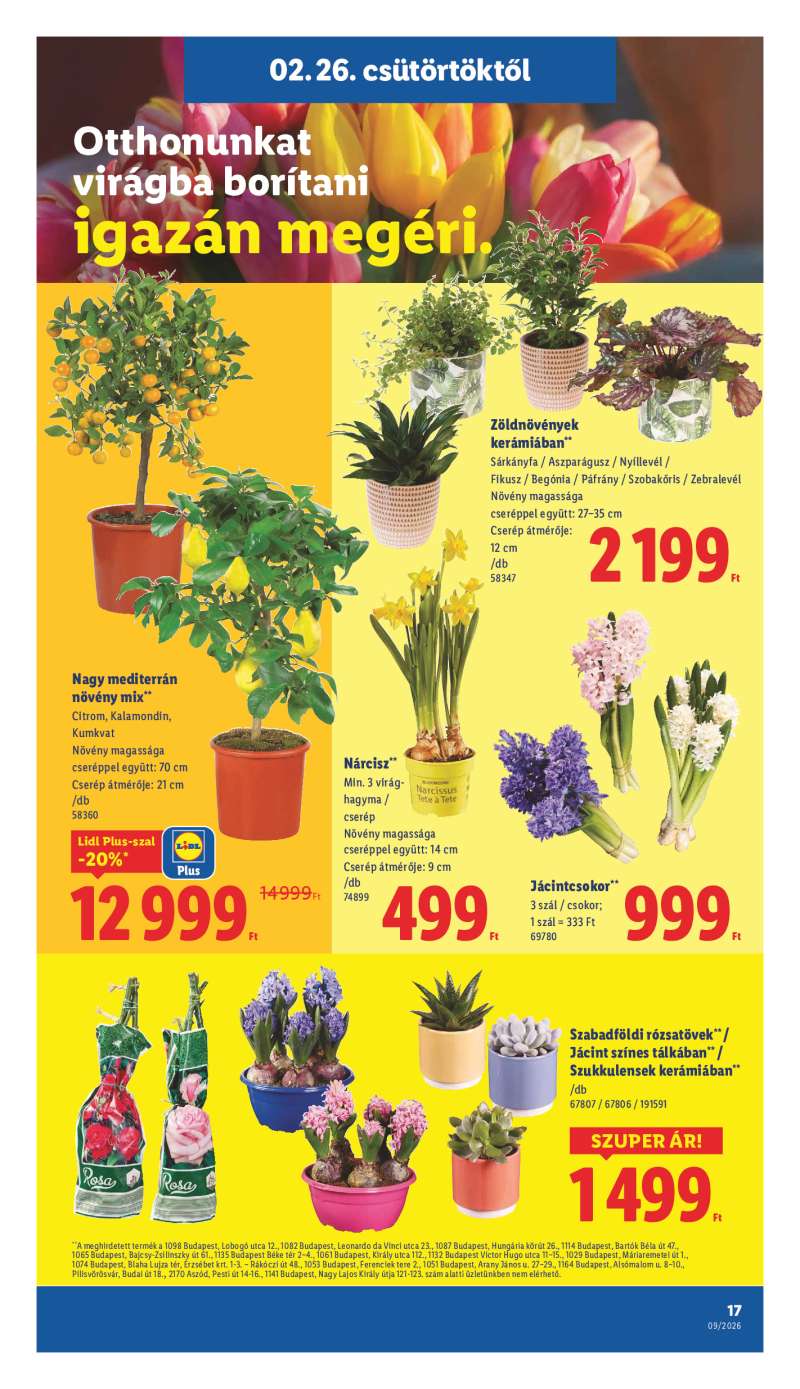 Lidl Akciós Újság 17 oldal