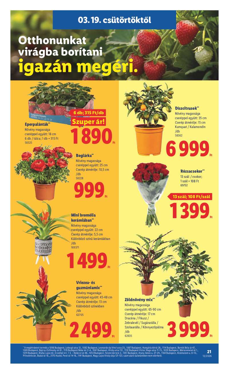 Lidl Érvényes 03.19-től 21 oldal