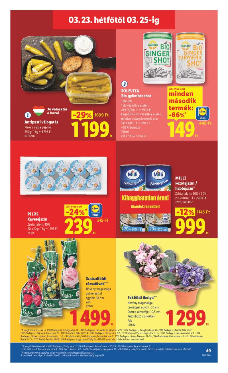 Lidl Érvényes 03.19-től 49 oldal