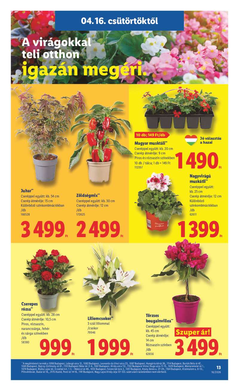 Lidl Akciós Újság 13 oldal