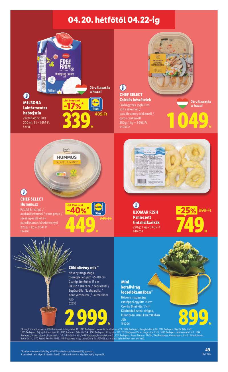 Lidl Akciós Újság 49 oldal
