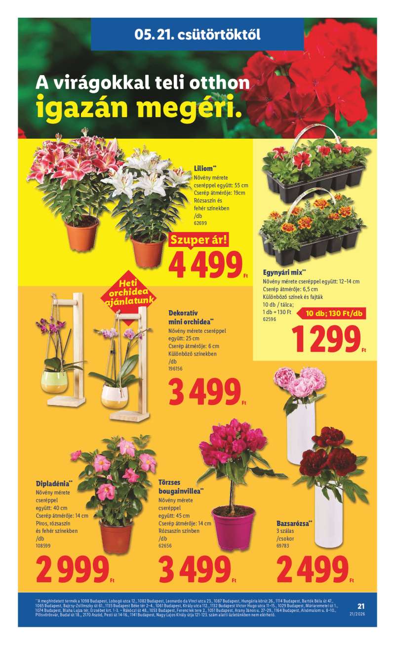 Lidl Érvényes 05.21-től 21 oldal
