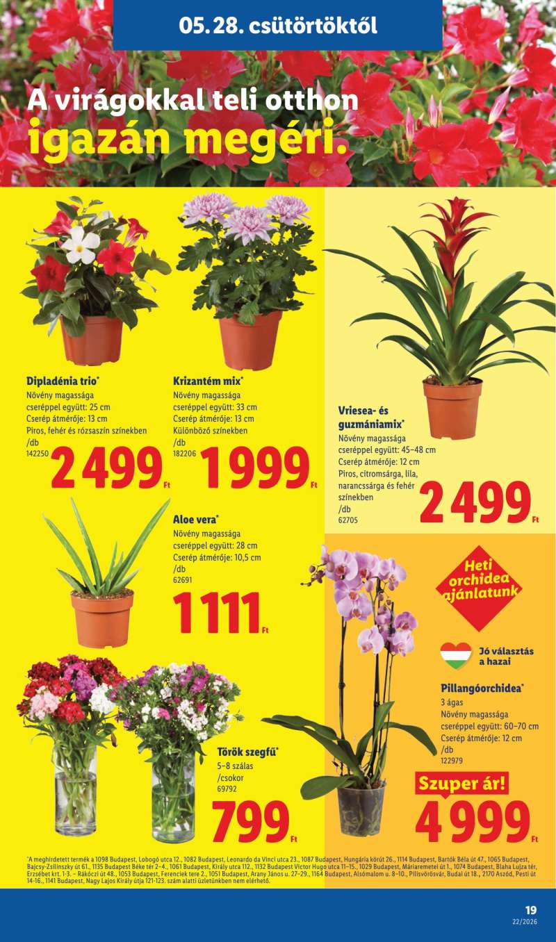 Lidl Akciós Újság 19 oldal