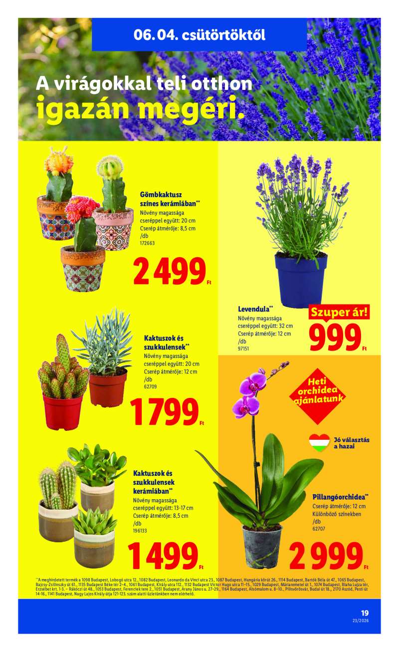 Lidl Érvényes 06.04-től 19 oldal