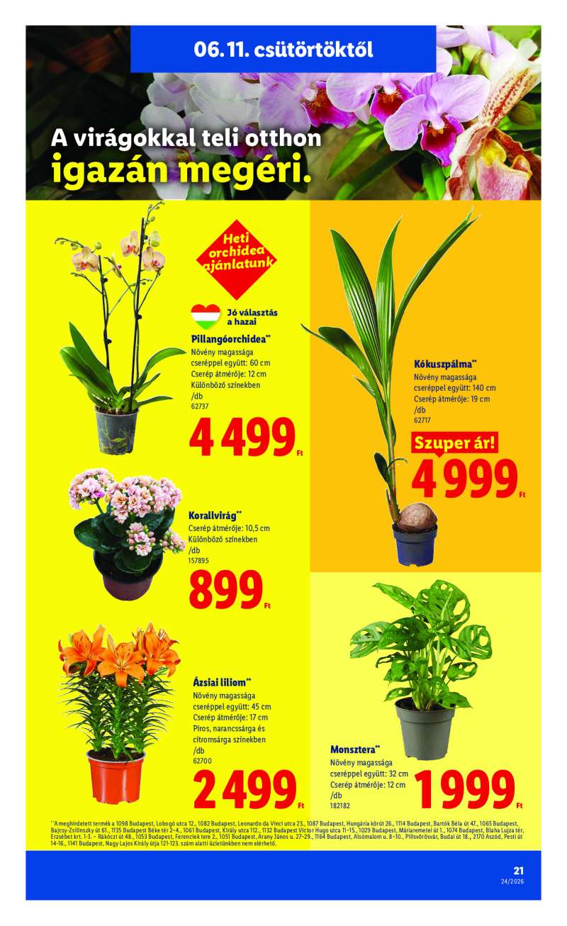 Lidl Érvényes 06.11-től 21 oldal