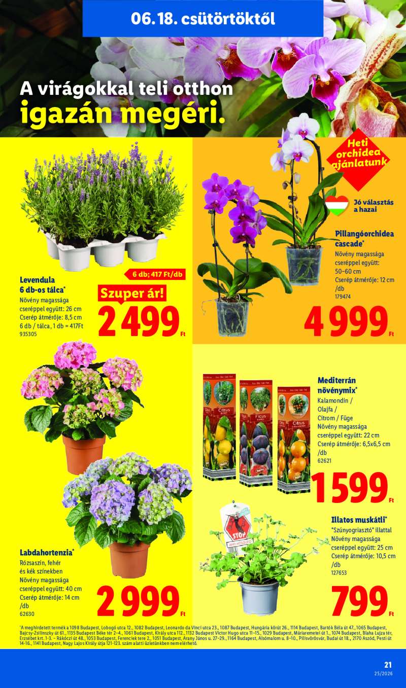 Lidl Érvényes 06.18-tól 21 oldal