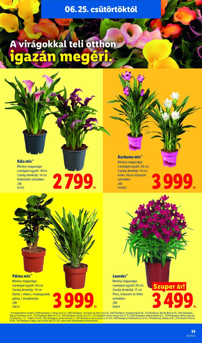Lidl Érvényes 06.25-től 39 oldal