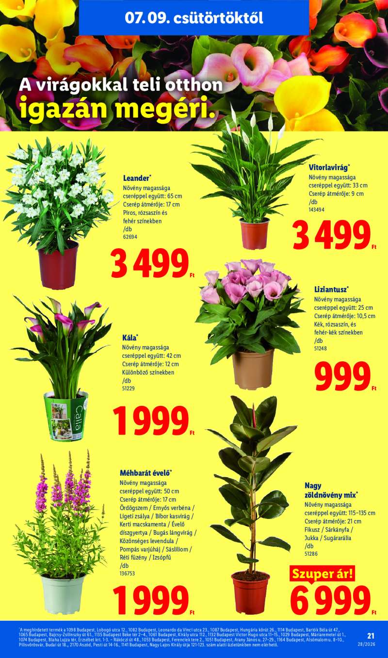 Lidl Érvényes 07.09-től 21 oldal