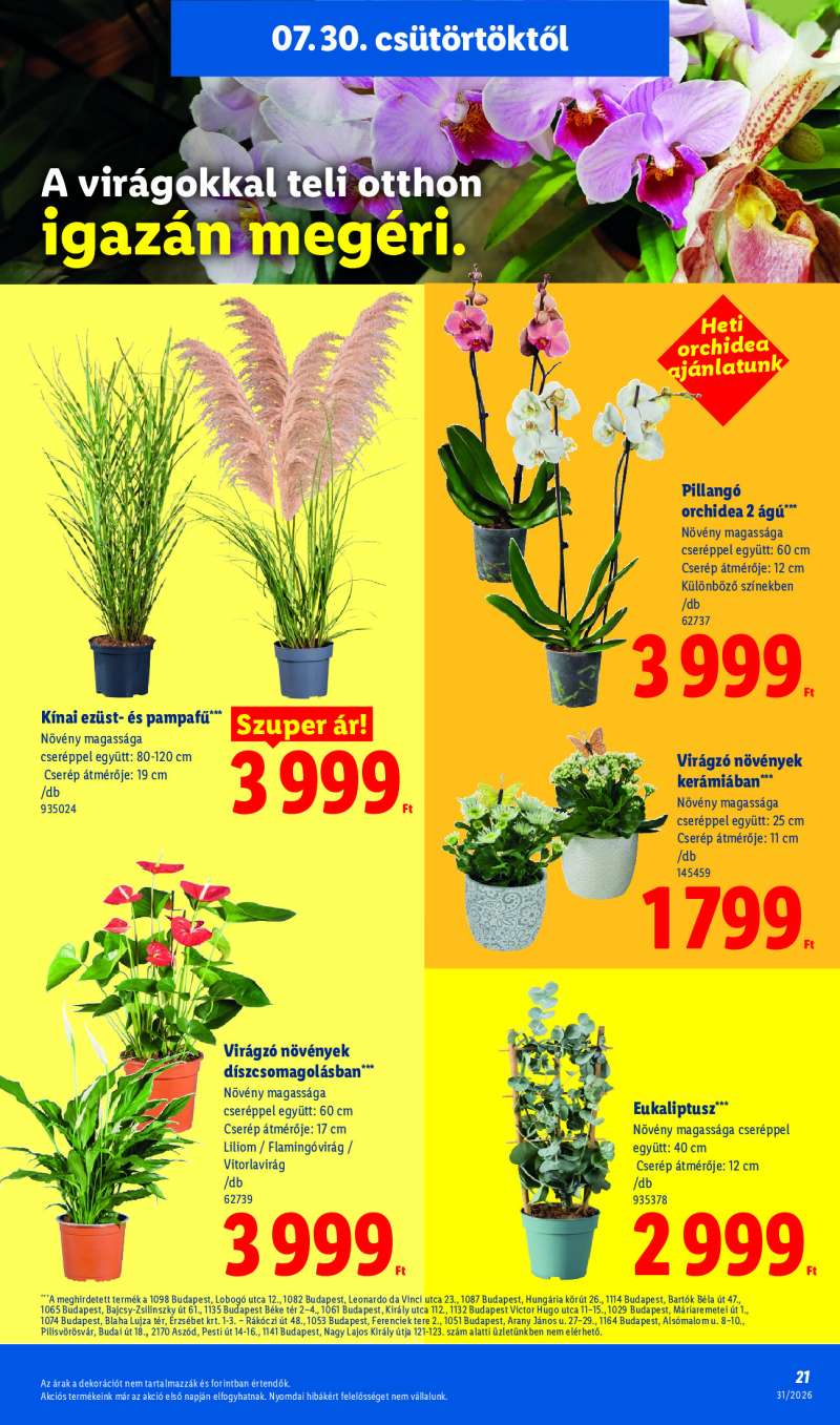 Lidl Érvényes 07.30-tól 21 oldal