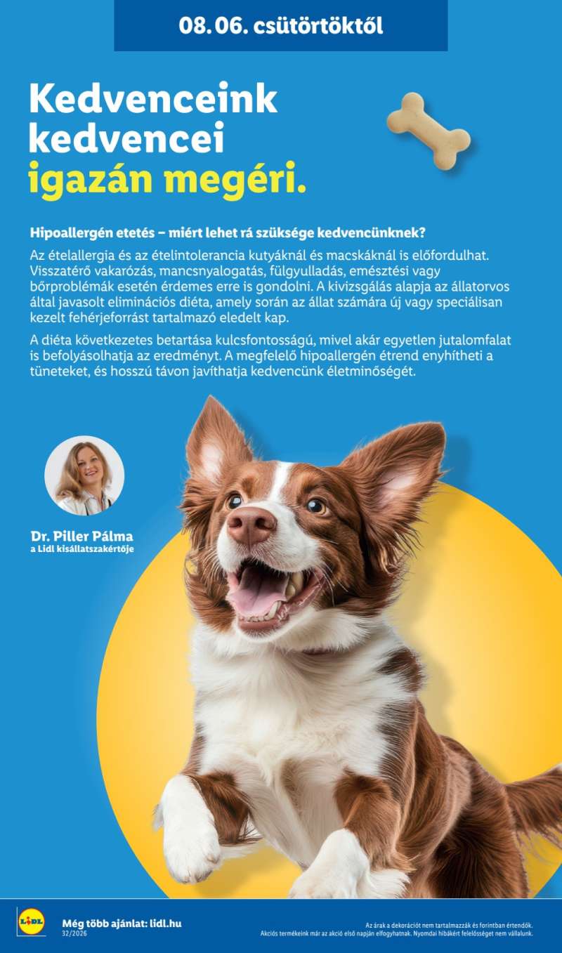 Lidl Akciós Újság 42 oldal