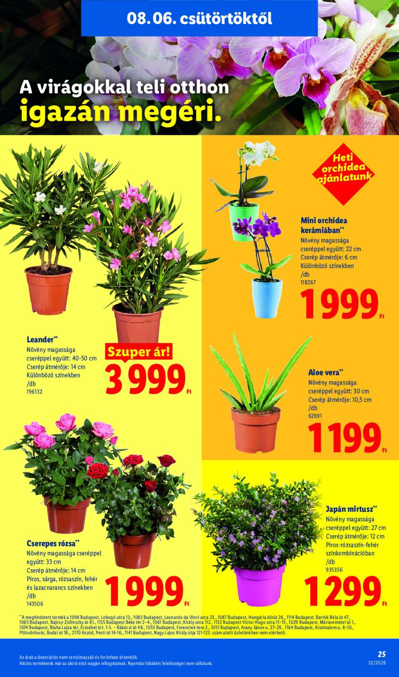 Lidl Érvényes 08.06-tól 25 oldal