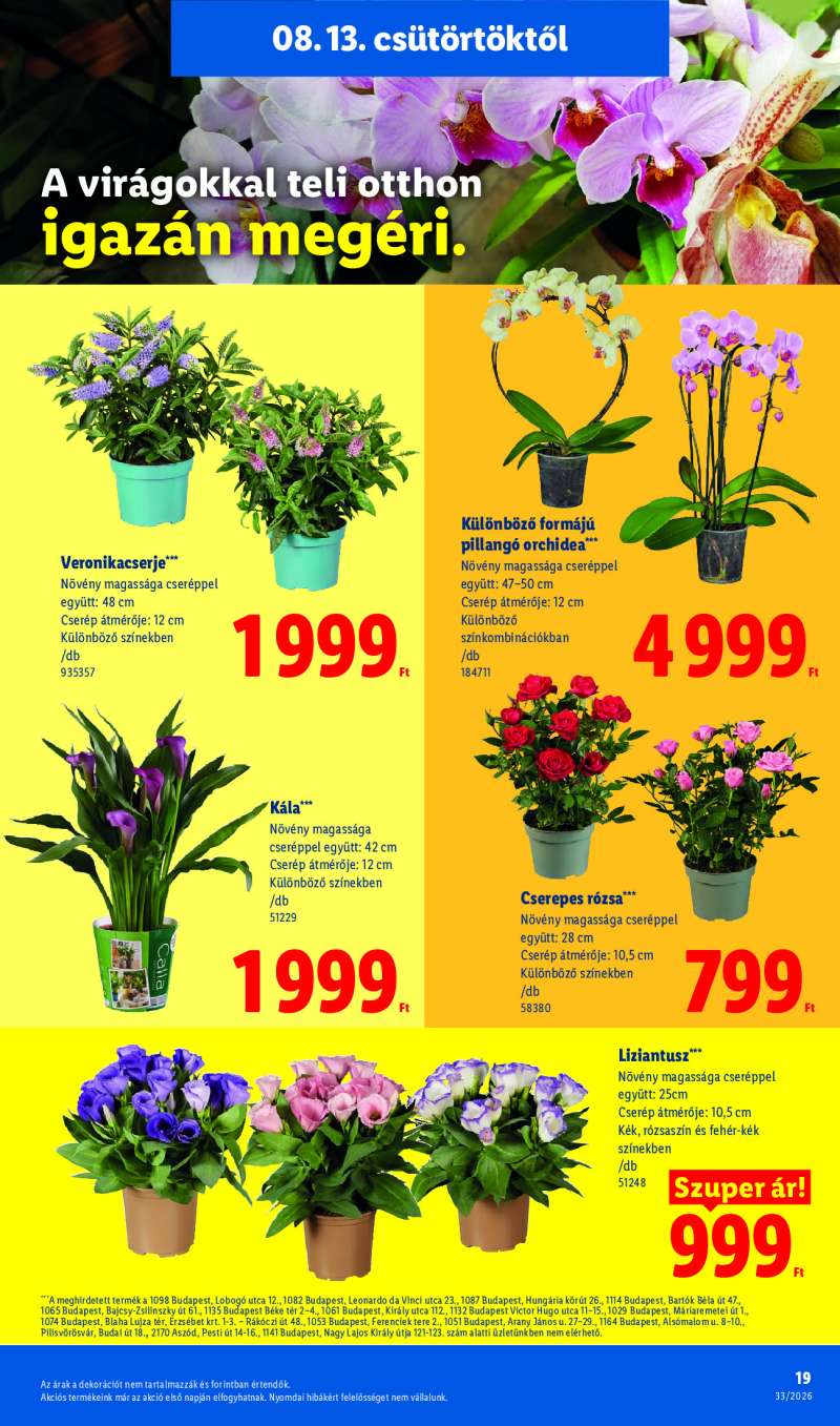 Lidl Érvényes 08.13-tól 19 oldal