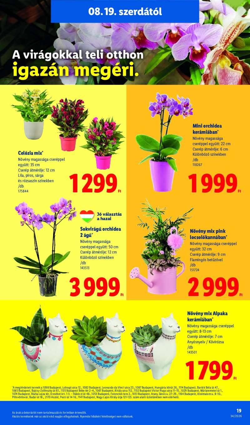Lidl Érvényes 08.19-től 19 oldal
