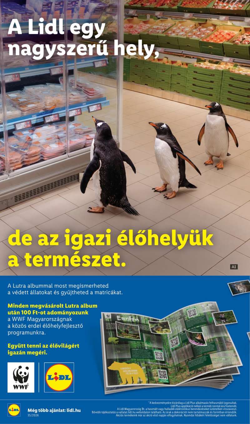 Lidl Akciós Újság NonFood 2 oldal