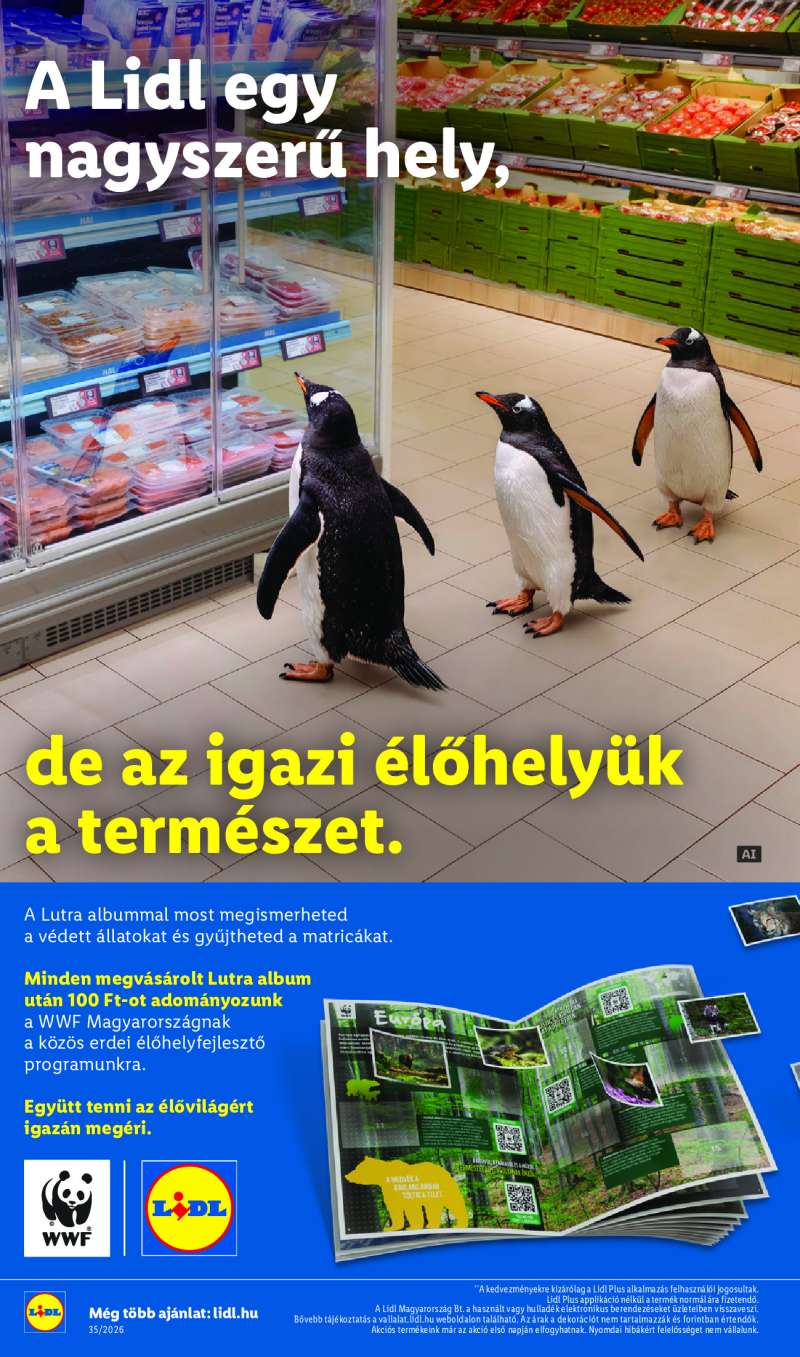 Lidl Érvényes 08.27-től 36 oldal