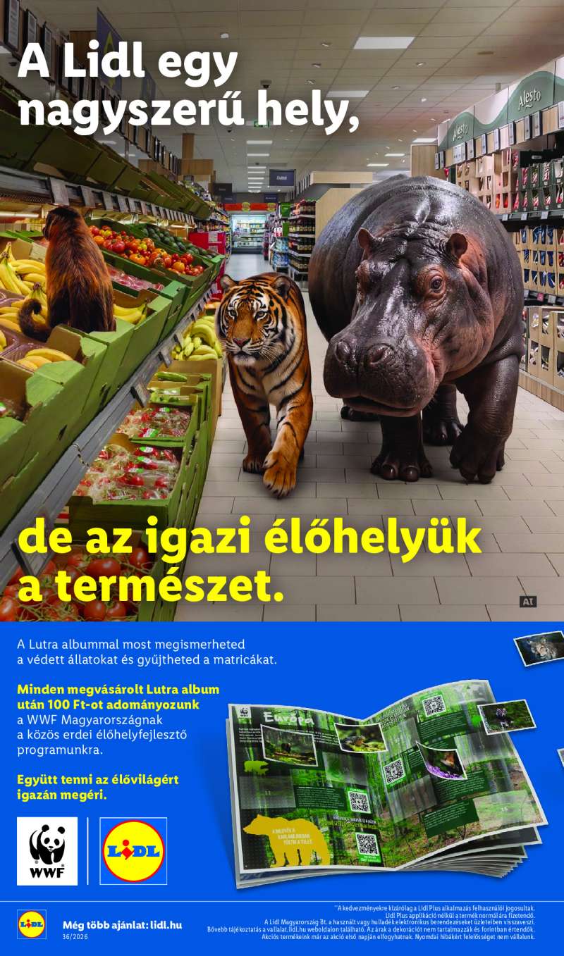 Lidl Érvényes 09.03-tól 18 oldal