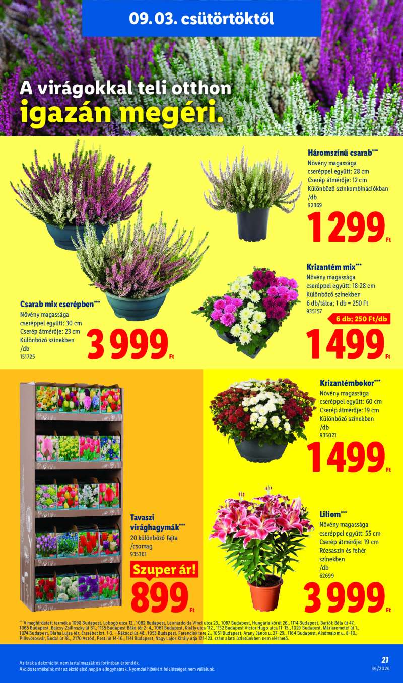 Lidl Érvényes 09.03-tól 21 oldal