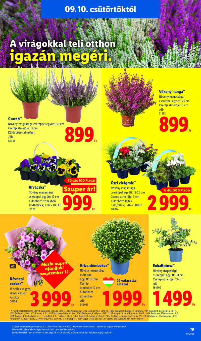 Lidl Érvényes 09.10-től 19 oldal