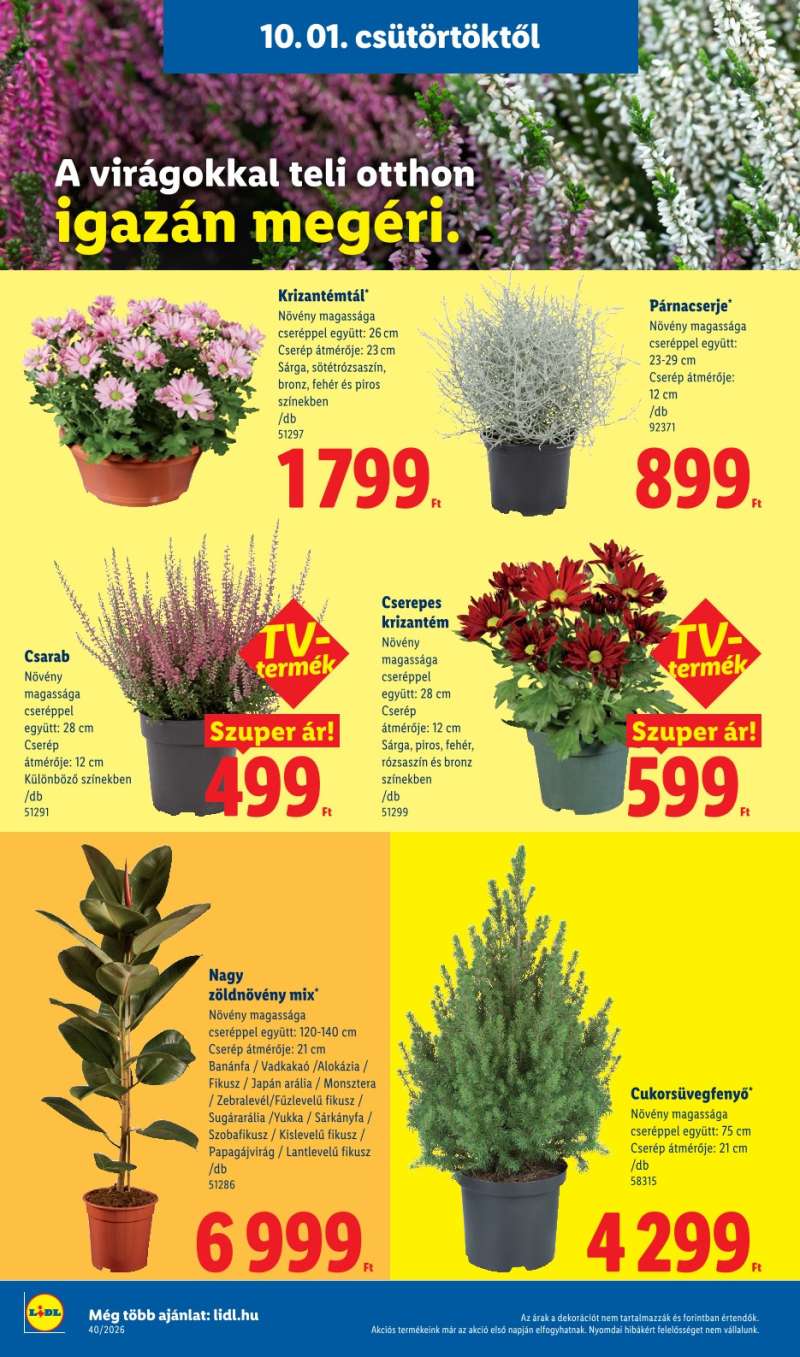 Lidl Akciós Újság 26 oldal
