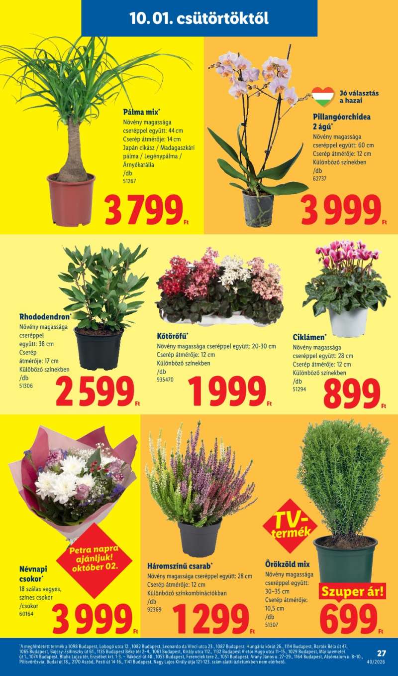 Lidl Akciós Újság 27 oldal