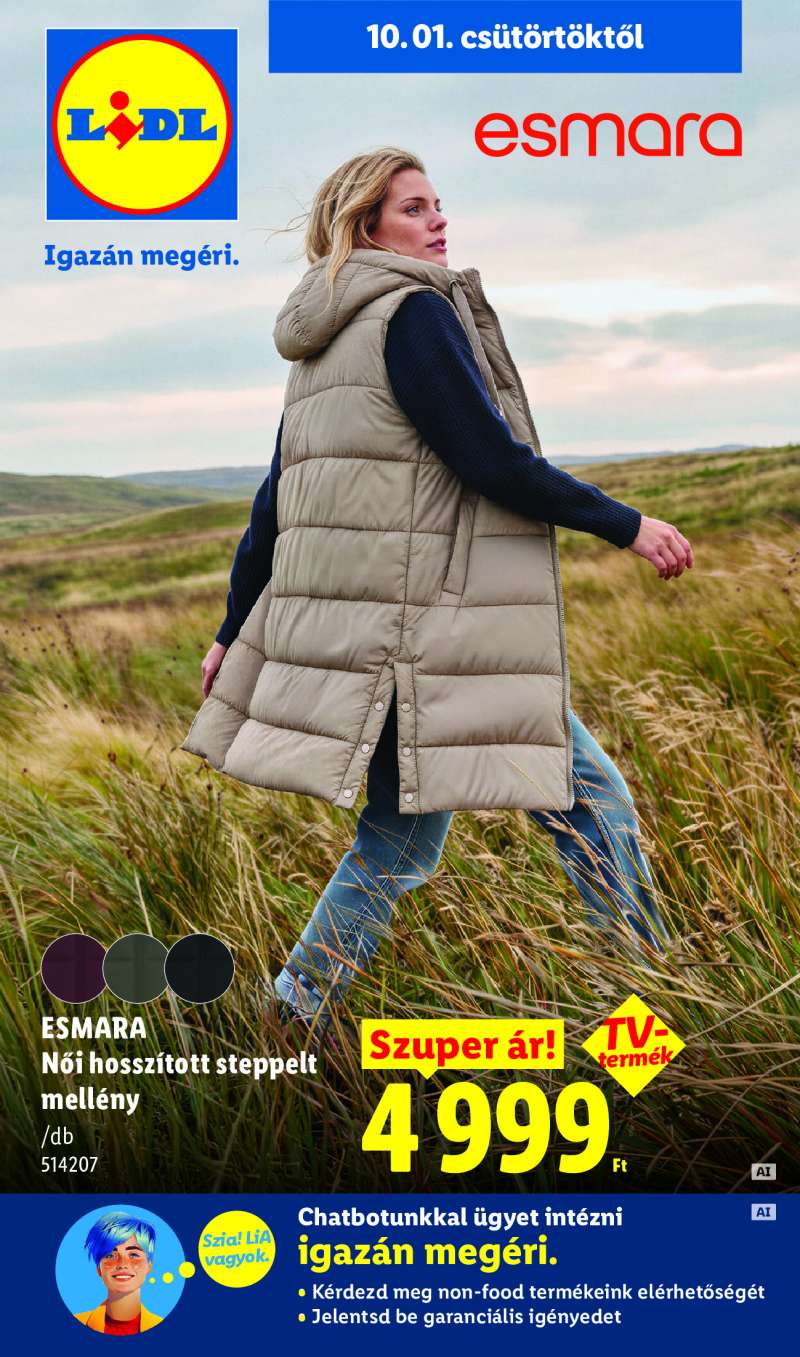 Lidl Érvényes 10.01-től 1 oldal