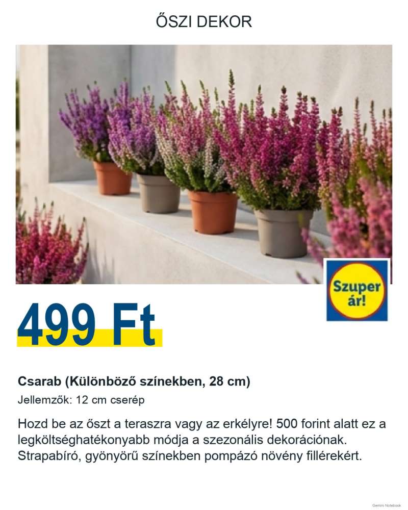Lidl Lidl Akcióleső Válogatás 14 oldal
