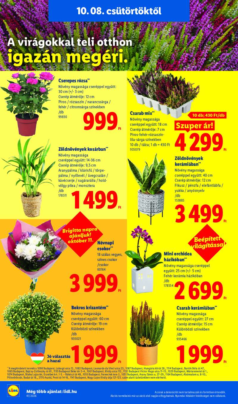 Lidl Érvényes 10.08-tól 16 oldal