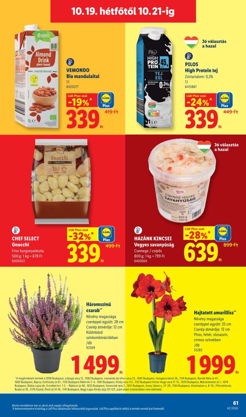 Lidl Akciós Újság 61 oldal