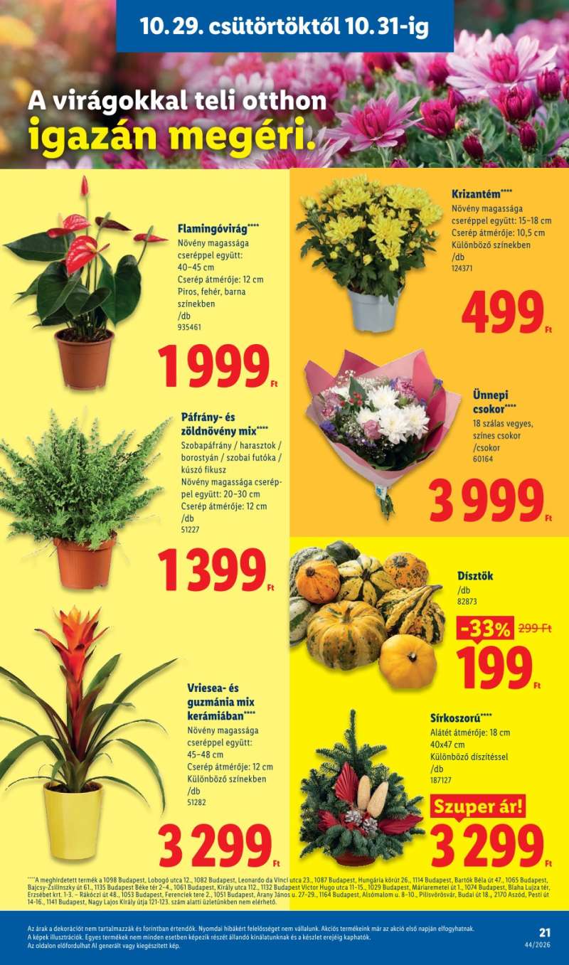 Lidl Akciós Újság 21 oldal