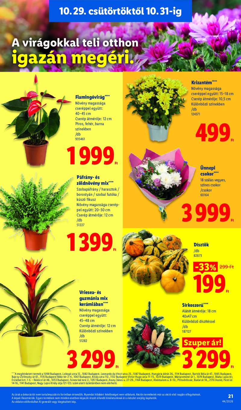 Lidl Érvényes 10.29-től 21 oldal