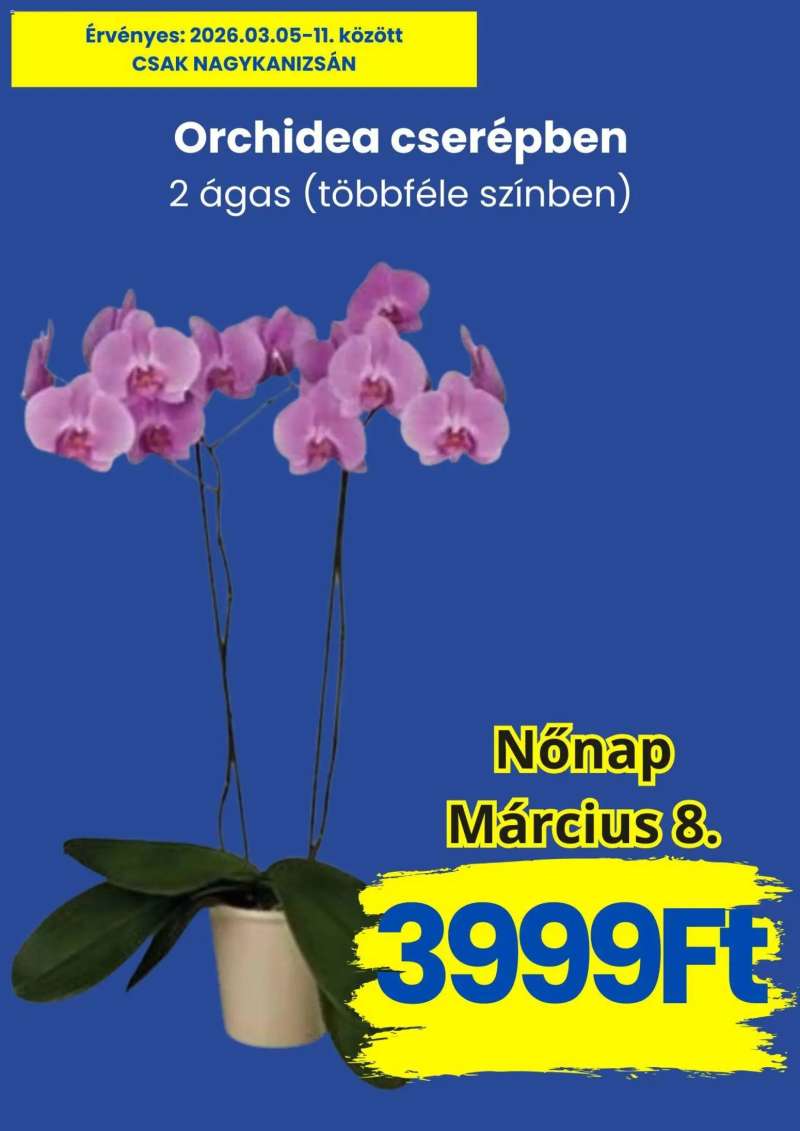 Magnetic Magnetic akciós újság 2 oldal