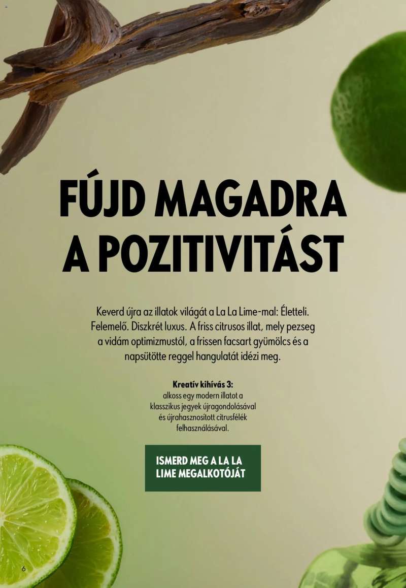 Oriflame Oriflame katalógus 2026/11 6 oldal