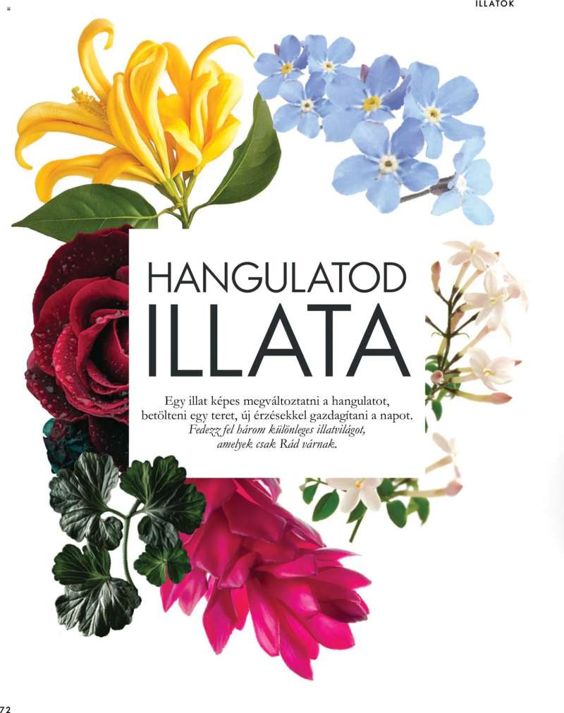 Oriflame Oriflame katalógus 2026/14 72 oldal
